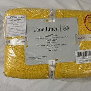 Lane Linen 4 XL bath towels NWT